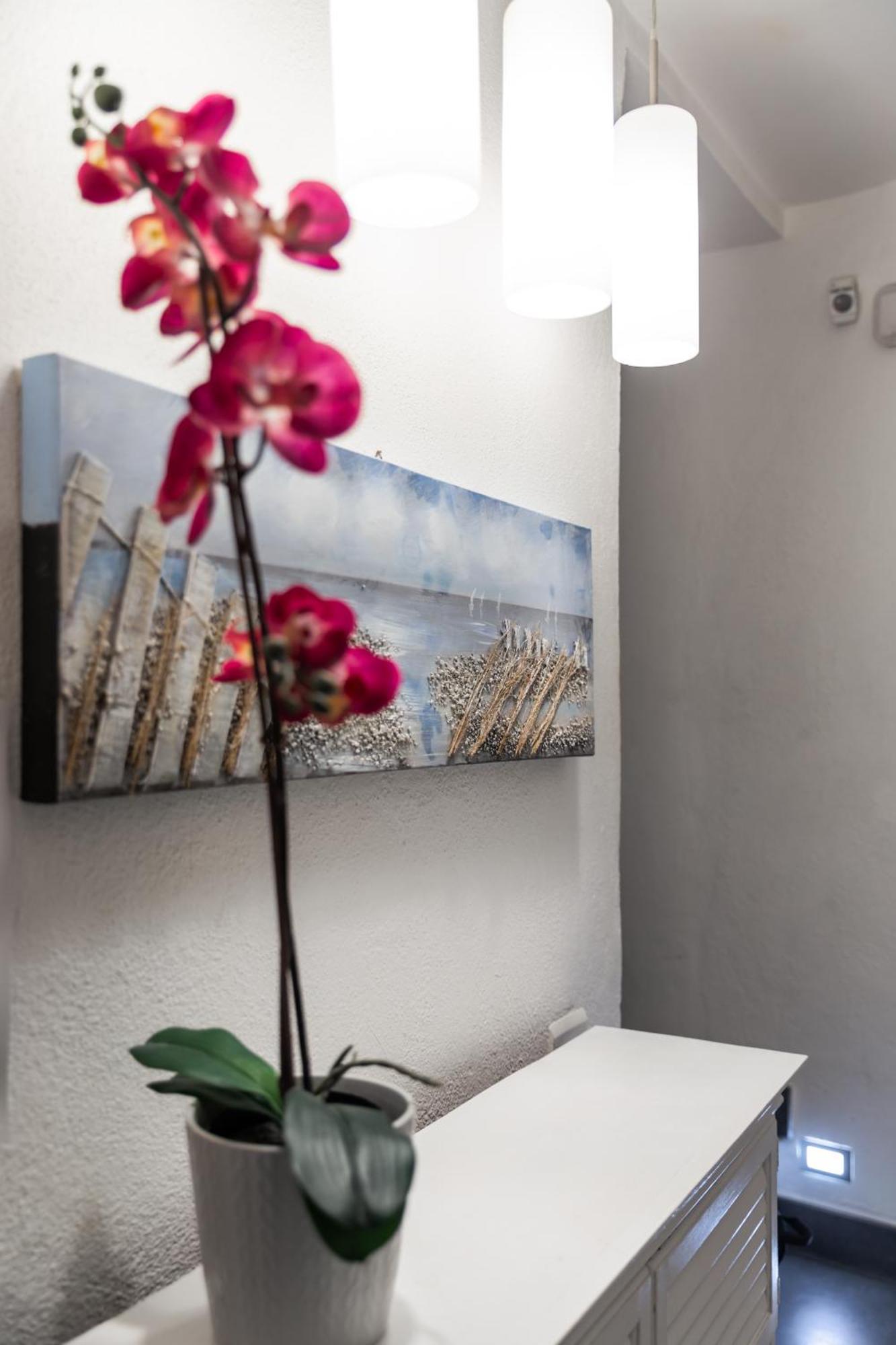 Wellness Hm Wellness Home By Dimorra Napels Buitenkant foto